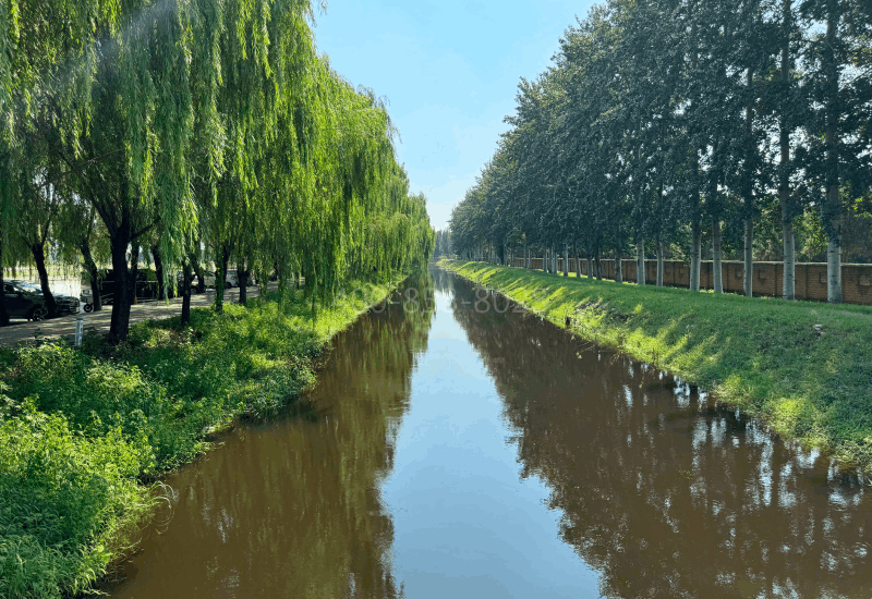 兰生园公墓环境图