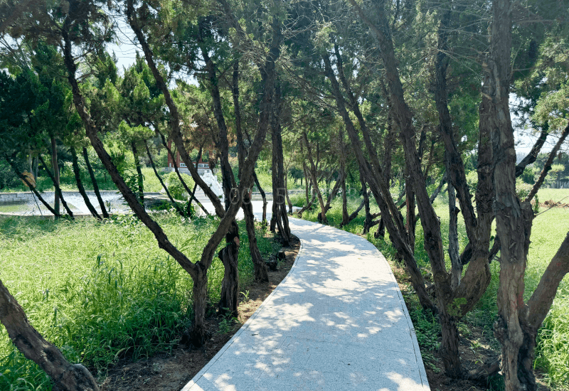 兰生园公墓环境图