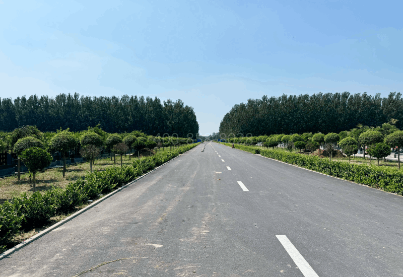 兰生园公墓环境图